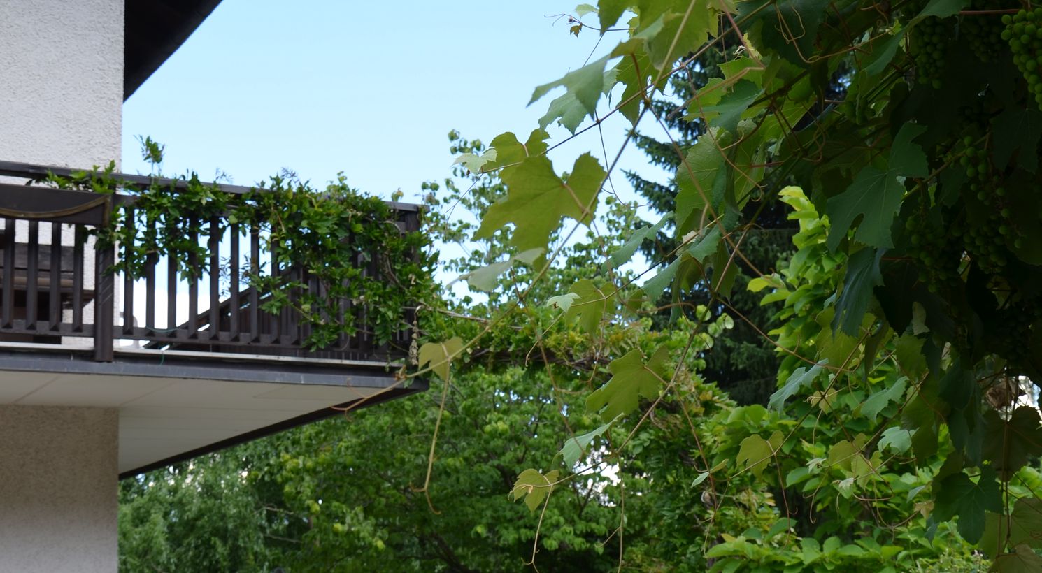 Gartengestaltung Birkenhof