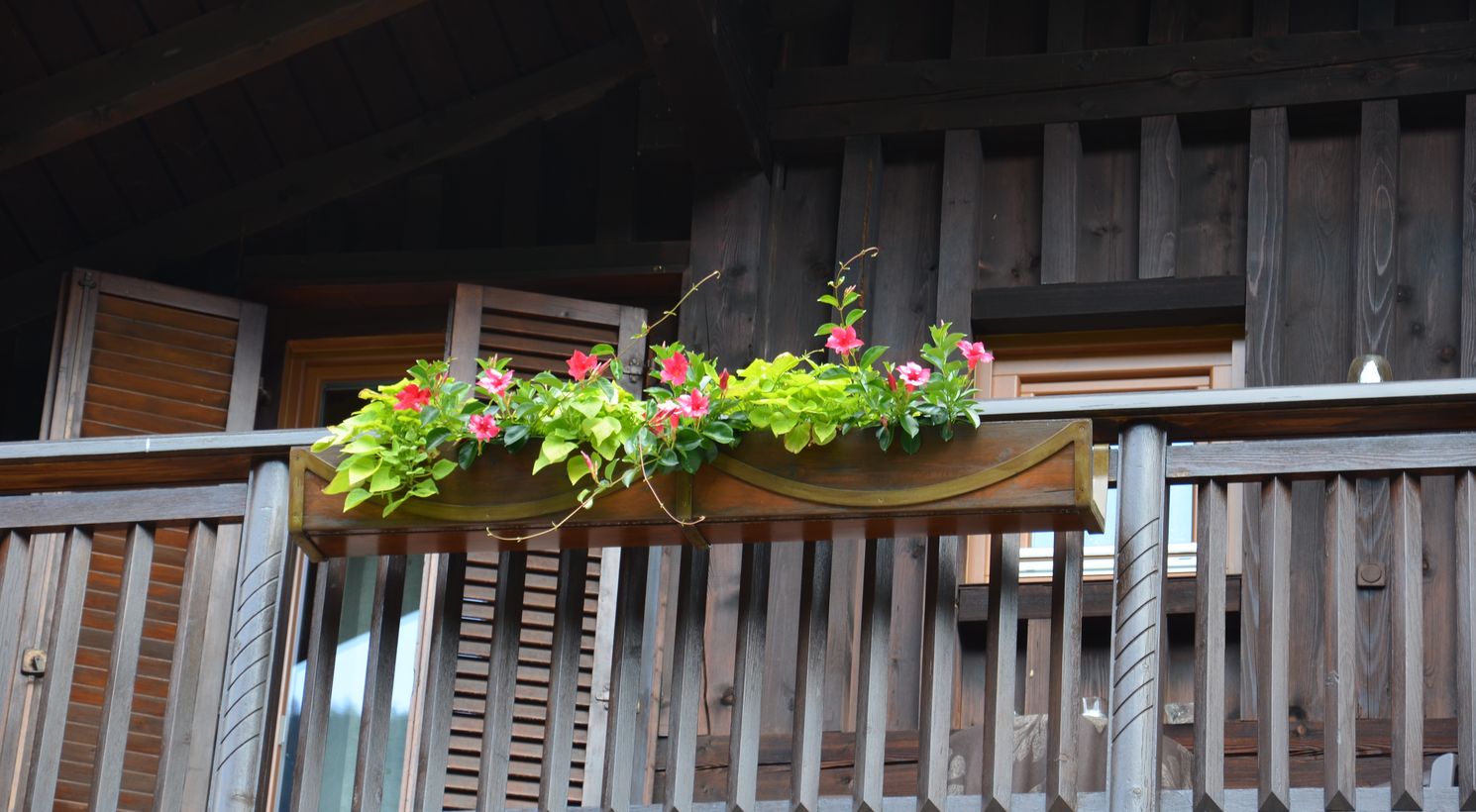Blütenpracht Unterkunft Südtirol