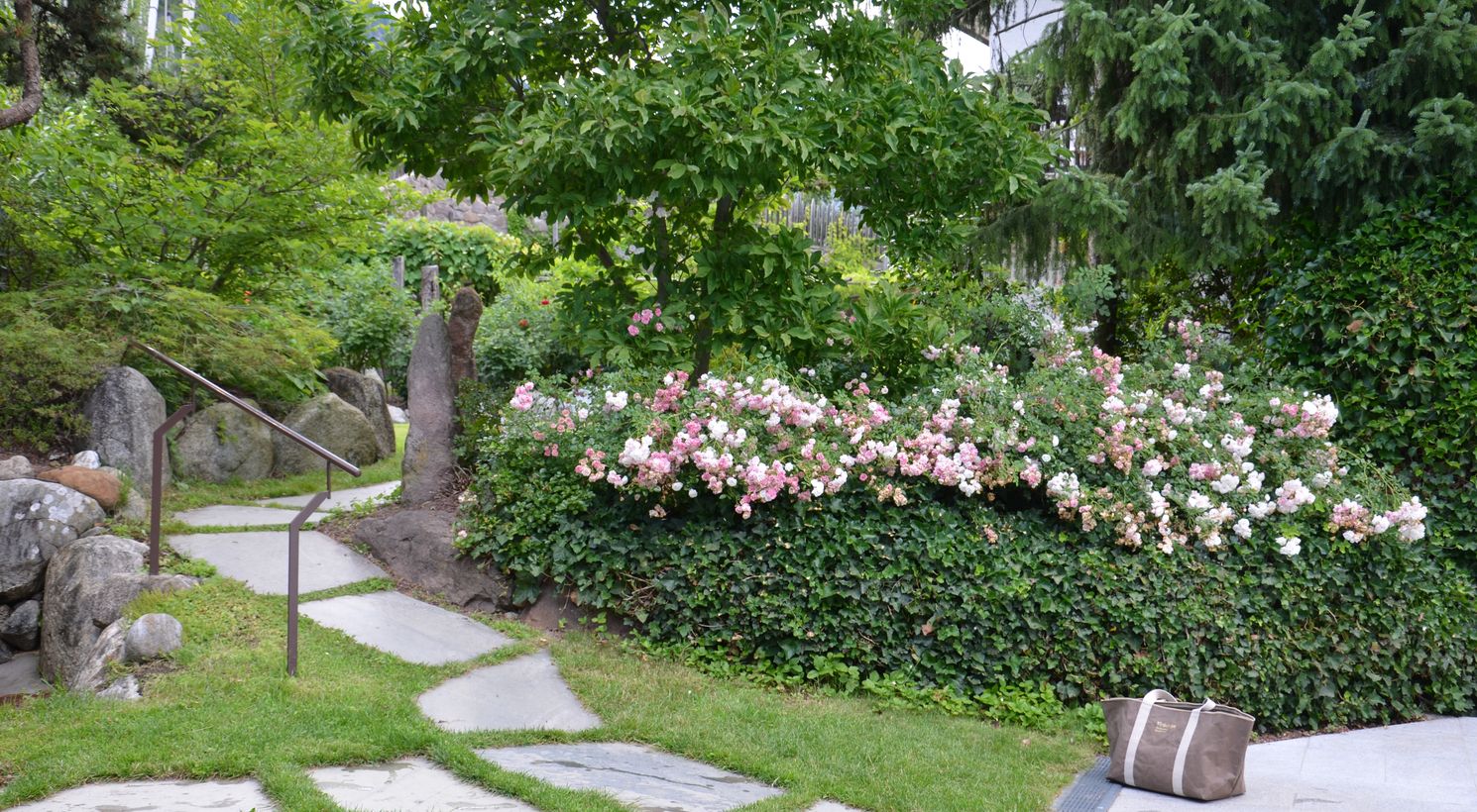 Vielfältige Blumenpracht Landhaus Birkenhof