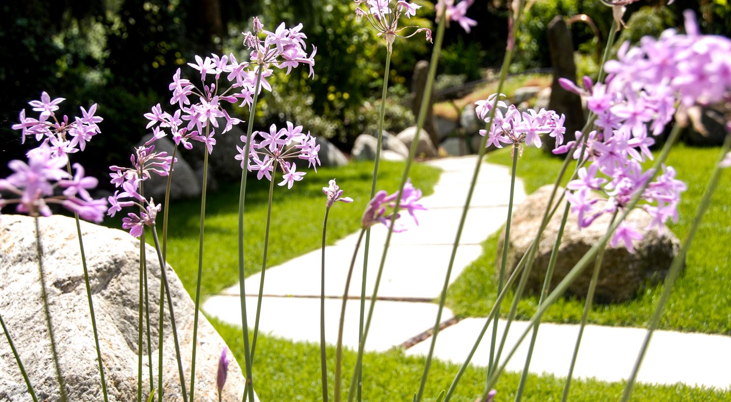 Country house South Tyrol with garden